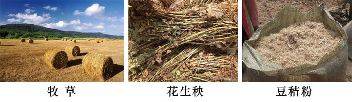 1466126400493445.jpg 牧草花生秧.jpg