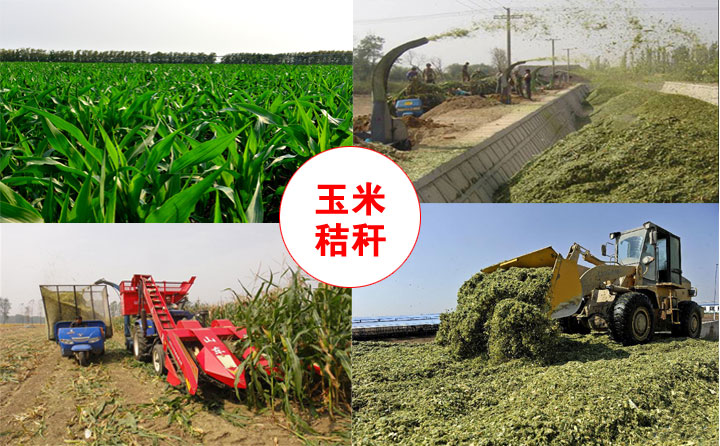 原材料來(lái)源 原材料來(lái)源