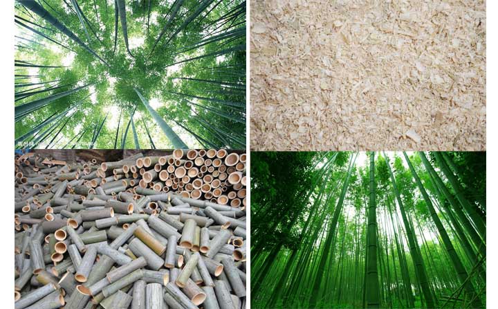 木屑顆粒機設備的發(fā)展會越來越好 木屑顆粒機設備的發(fā)展會越來越好