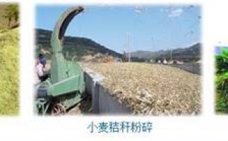 農(nóng)民科學發(fā)展新思路，秸稈綜合利用成為賺錢好門路之秸稈顆粒機
