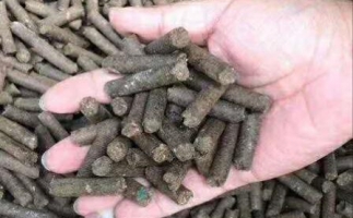 水果渣越來越受歡迎，因為它的出現(xiàn)—生物質顆粒機設備