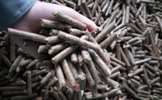 鋸末顆粒機(jī)顆粒，一種快速增長(zhǎng)的能源載體