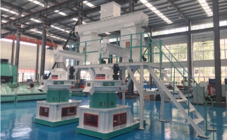 木屑顆粒機多少錢一臺?建顆粒廠大約多少錢？