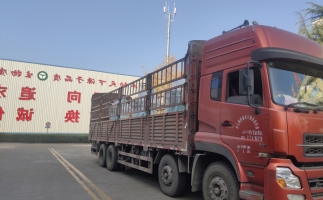 忙碌的五月，忙碌的發(fā)貨，金格瑞顆粒機生產(chǎn)線發(fā)往全國各地