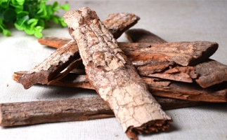 木材加工廠的廢棄物刨花能夠用來做什么？鋸末顆粒機告訴你