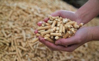 黟縣洪星鄉(xiāng)：“鋸末顆粒機(jī)的小顆?！睋Q來(lái)綠富雙贏