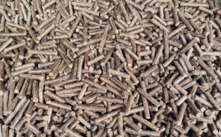 鋸末顆粒機加工的顆粒燃料價格主要受哪幾個方面的影響？