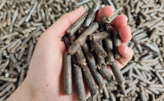 生物質(zhì)顆粒燃料公司前景怎么樣，木屑顆粒機的顆粒燃料賣給誰的？