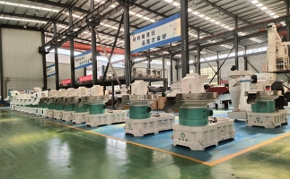 木屑顆粒機(jī)為什么選大不選?。?>
                                    </a>
                                    <div   id=