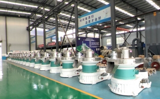 新手開(kāi)顆粒廠，該選小型還是大型木屑顆粒機(jī)？